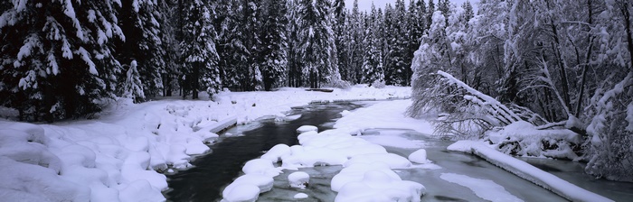 Snowy Forest with a Frozen River