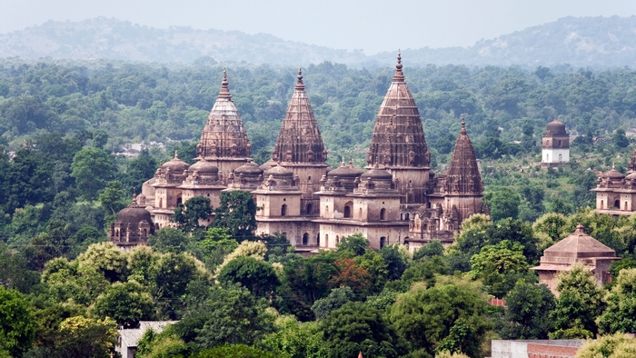 Royal Chhatris of Orchha amidst lush green landscape