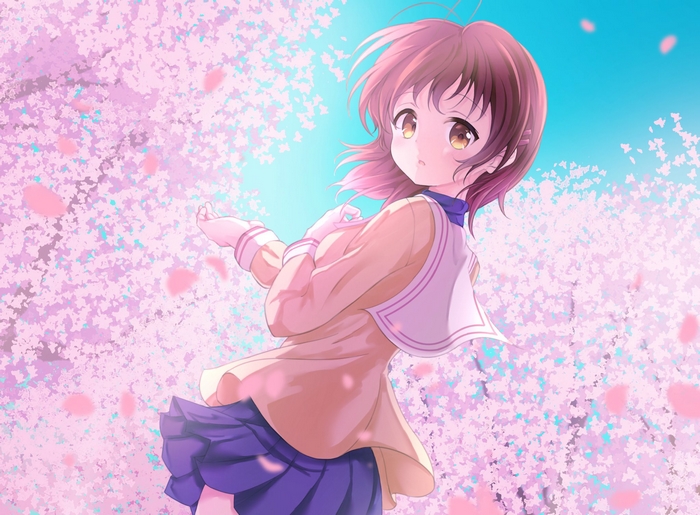 Nagisa Furukawa amidst falling cherry blossoms
