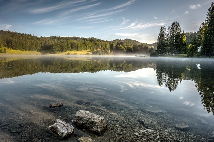 Morning Mist over Forest Lake Reflection