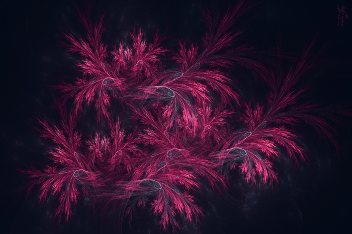 Pink Abstract Fractal Design in 4K