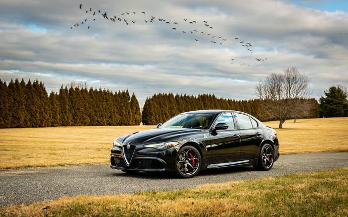 Alfa Romeo Giulia Quadrifoglio sport car with birds flying