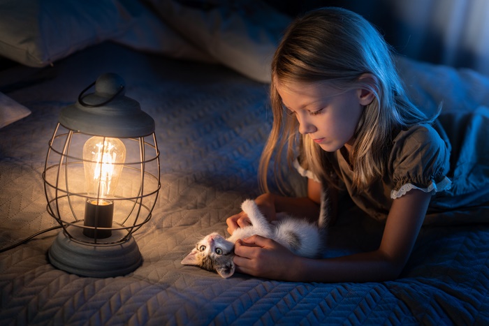 Photography Child 4K, Kitten