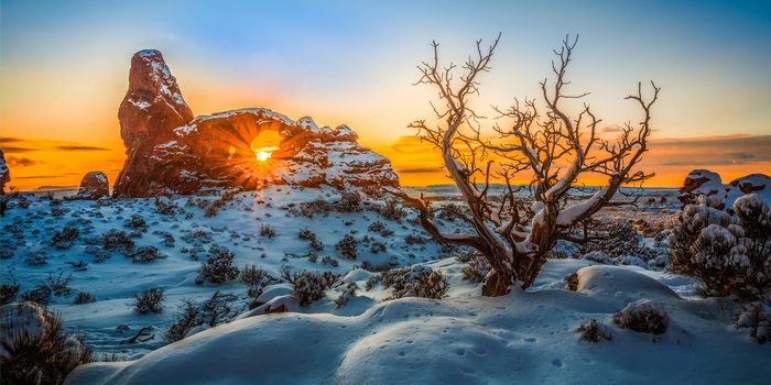 Golden Sunrise through a Snowy Arch