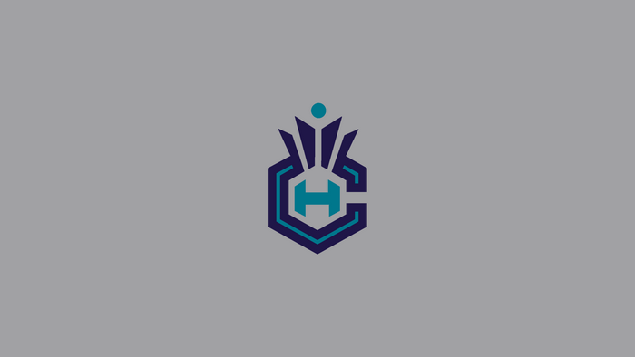 Charlotte Hornets NBA Basketball Logo