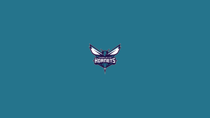 Charlotte Hornets NBA Logo