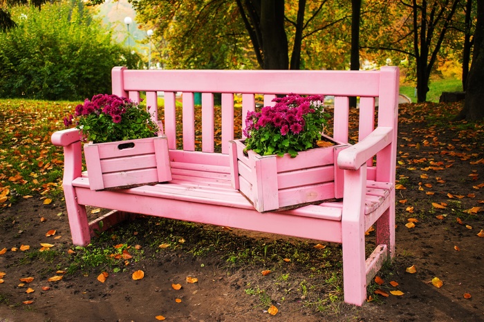 Pink bench and flower boxes in fall park