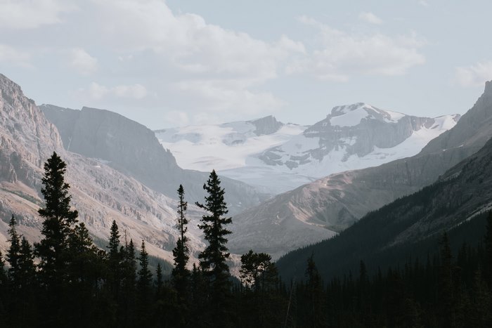 Scenic Glacial Mountains and Forest in Banff, Canada