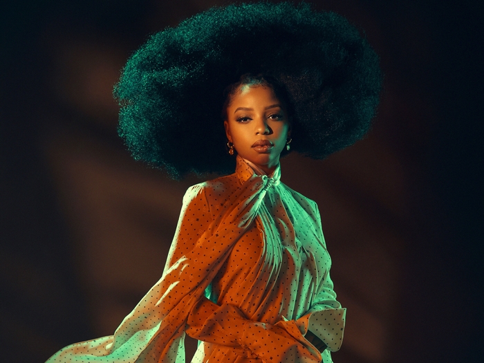 Chloe Bailey's dramatic portrait with large afro