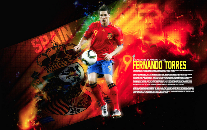 Fernando Torres Spain National Football Team