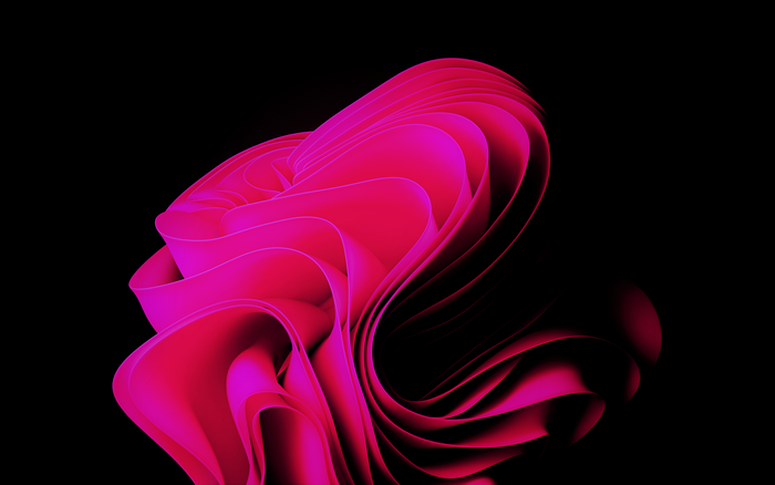 Pink abstract Windows 11 fluid design