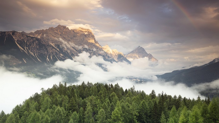 Misty Mountain and Forest Landscape