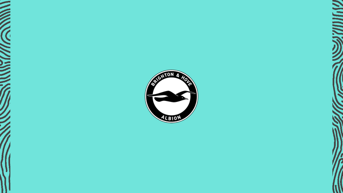 Brighton and Hove Albion F.C. Soccer Logo