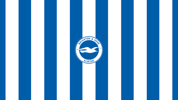 Brighton & Hove Albion F.C. Blue and White Stripes Logo