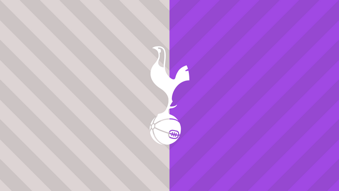 Tottenham Hotspur F.C. Logo Grey Purple Stripes