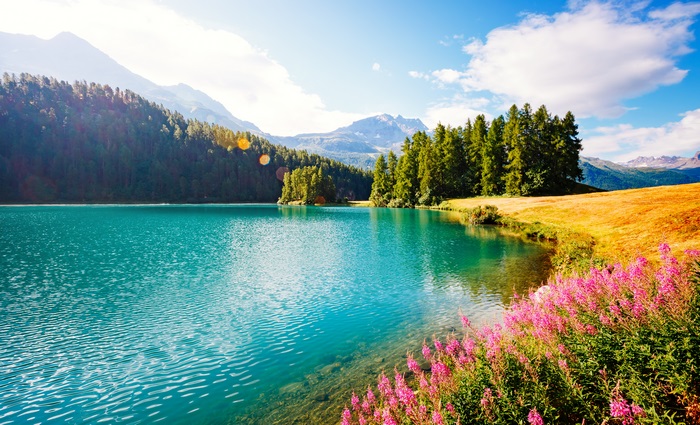 Turquoise Lake 4K, Mountains, Forest, and Flowers