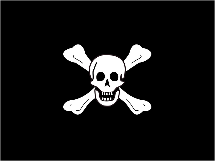 Minimalist Black and White Jolly Roger Skull and Crossbones