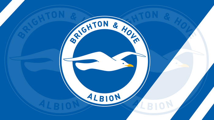 Brighton & Hove Albion F.C. Soccer Logo Emblem