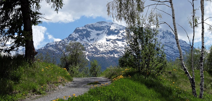 Scenic mountain path with snow and green nature