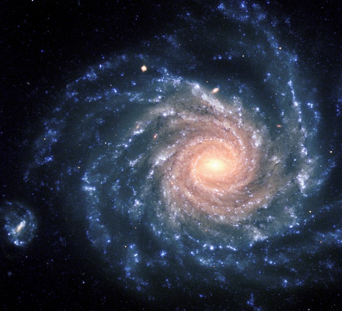NGC 1232: Majestic Spiral Galaxy and its Companion