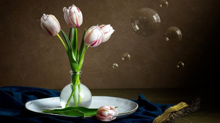 Elegant tulips and bubbles still life