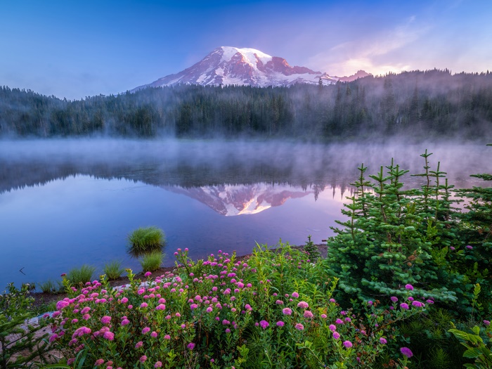 Mount Rainier reflected in a misty lake with blooming flowers