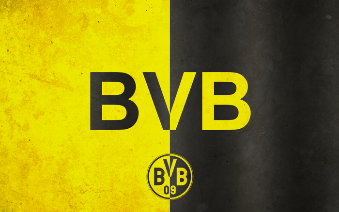 Borussia Dortmund BVB Yellow Black Logo