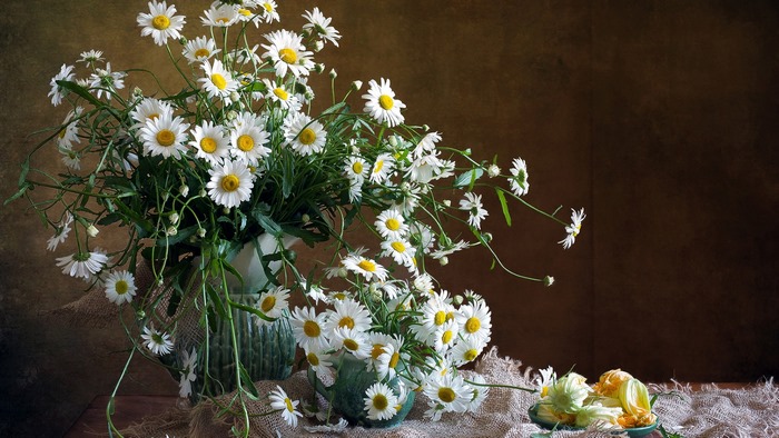 Rustic Still Life with White Daisies