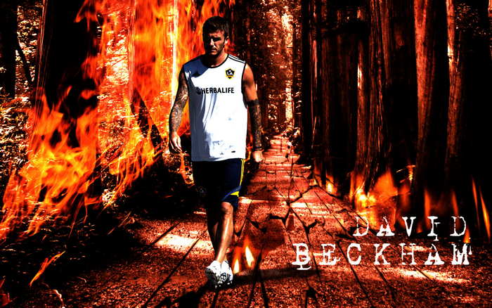 David Beckham in Fiery LA Galaxy Forest
