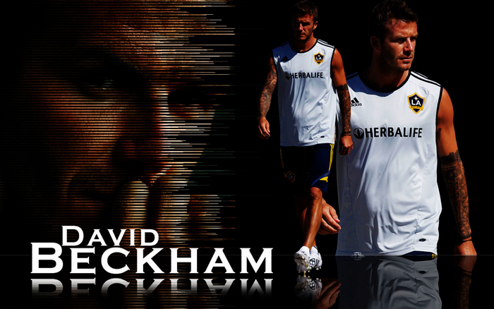 David Beckham LA Galaxy Stylized Portrait