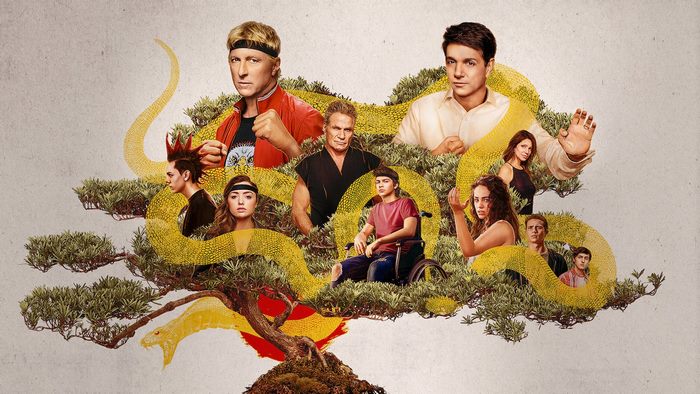 Cobra Kai main cast poster with snake and bonsai