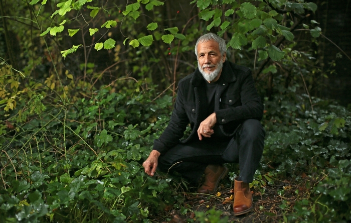 Cat Stevens in a lush green forest