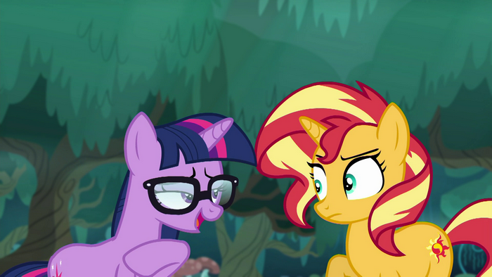 Sci-Twi smirks at concerned Sunset Shimmer