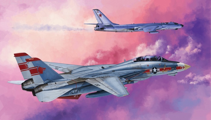 Grumman F-14 Tomcat Intercepting Soviet Bomber