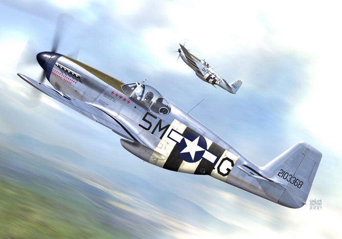 Two North American P-51 Mustang warplanes flying