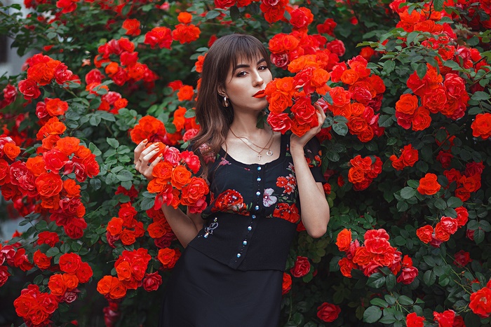 Brunette Woman Among Red Roses