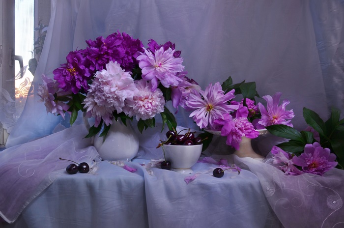 Still Life with Purple Peonies and Cherries