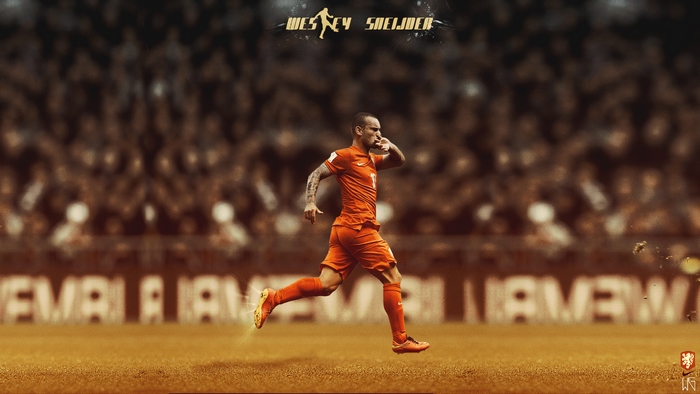 Wesley Sneijder celebrates for Netherlands National Team