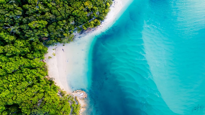 Aerial View of Lush Green Forest and Turquoise Beach