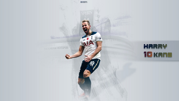 Harry Kane celebrates for Tottenham Hotspur