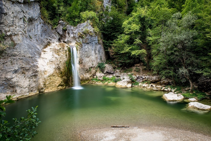 Beautiful Waterfall in a Lush Green Forest