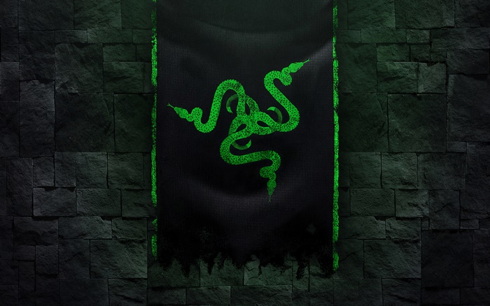 Razer Green Snake Logo Banner
