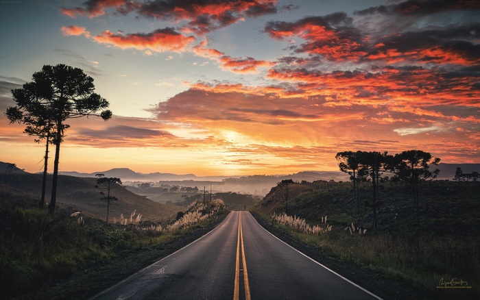 Long Road into a Vibrant Sunset