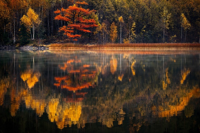 Autumn Lake with Vibrant Tree Reflections