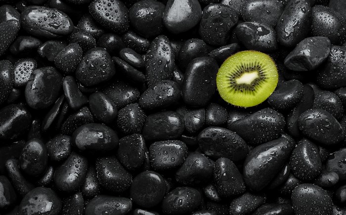 Kiwi fruit slice on wet black stones