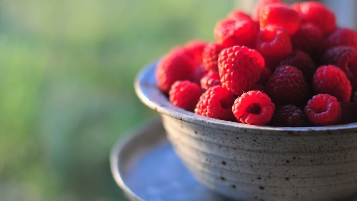 Bowl of Fresh Raspberries in Sunlight