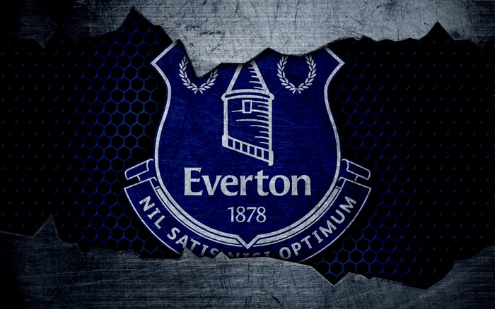 Everton F.C. Blue Textured Logo 4K
