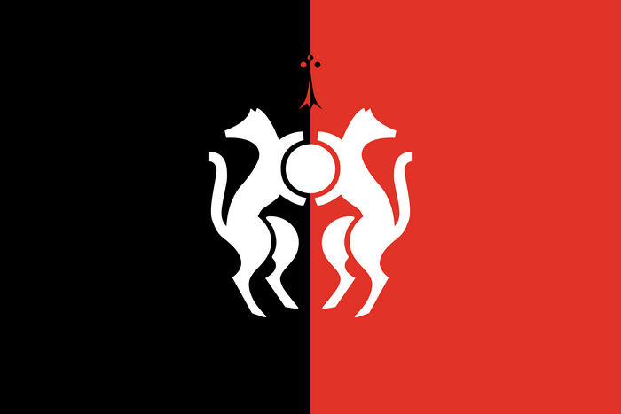 Stade Rennais F.C. Soccer Ermine Emblem 4K