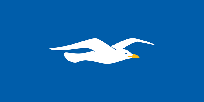 Brighton and Hove Albion F.C. Seagull Logo 4K