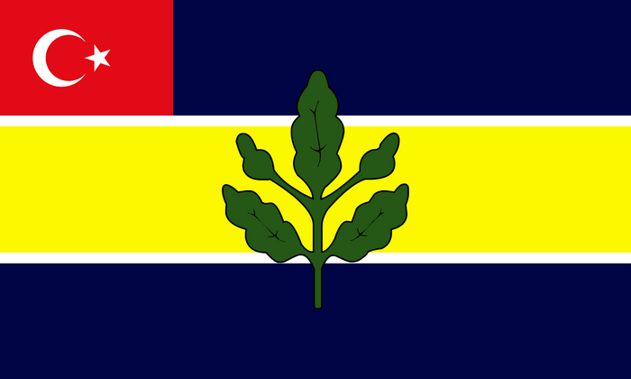 Fenerbahçe S.K. flag with Turkish canton and leaf